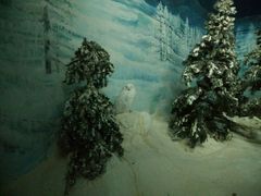 android_upload_pic-新加坡飞禽公园