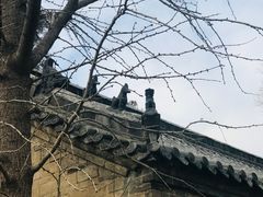 -华山风景区-华阳宫