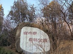 -白水寺森林公园