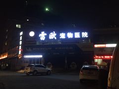 -瑞派雷欧宠物医院·24h夜诊·心脏骨科牙科·全科重症转诊中心(无影山店)