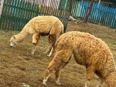 -云漫湖生态度假公园