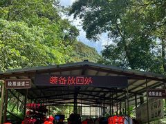 -龙岩森林水乡景区