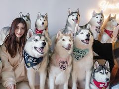 -Husky Go! 哈士奇体验馆·宠物咖啡厅狗咖