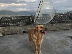 -浔岚云舍mist静谧观景美宿(丽江古城店)