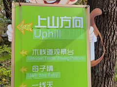 -大岭沟猕猴桃谷风景区