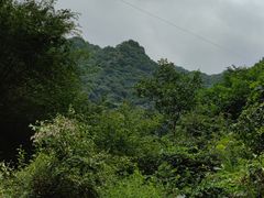 -抱龙峪