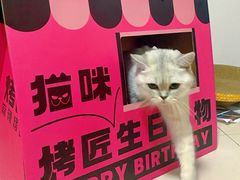 -烤匠麻辣烤鱼(观音桥大融城店)
