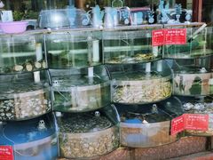 -东来菜馆•手抓海鲜家常菜•海鲜锅贴(鸽子窝店)