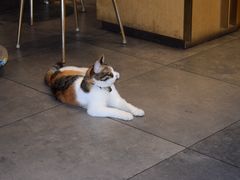 -后海16号·北京私房菜