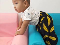 -沥鲨亲子游泳俱乐部(金沙洲中心)