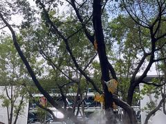 -广州海洋馆