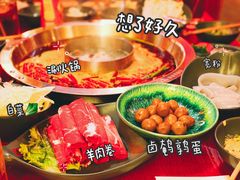 -谭鸭血老火锅(日本东京店)