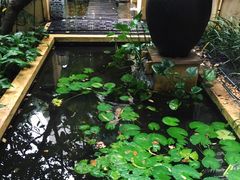 -迪瓦娜按摩和水疗中心