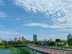 -莲花岛景区