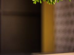 碎葱吞拿鱼军舰-Sushi Hanzo半藏(天环广场店)