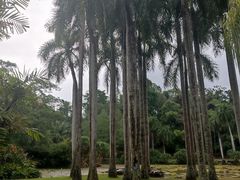 -中国科学院西双版纳热带植物园