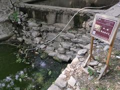 -北京上方山国家森林公园
