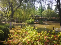 -瀛洲公园