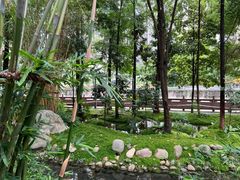 -成都市活水公园