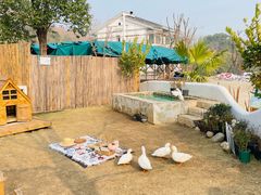 -HERRE·FARM 赫尔露营农场·团建聚会包场