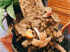 -野菌皇海景野生菌火锅(滨海大道店)