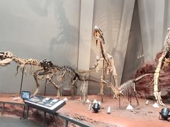 -重庆自然博物馆(新馆)
