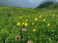-灵山