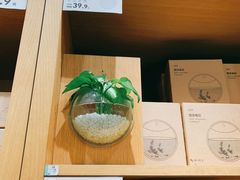 -鹿岛生活(熙地港店)