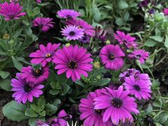 -常州大学怀德学院