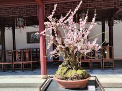 -豫园