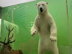 -国家自然博物馆