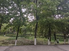 -沐仙湖湿地公园