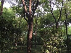 -唐城墙遗址公园