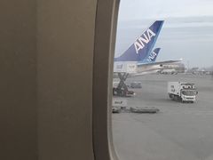 -全日本空输株式会社(上海办事处)