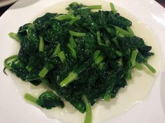 酒香豆苗-老吉士酒家(天平路店)