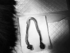 -美联众合宠物医院·爱萌分院·内外科·猫科中心