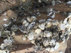 -青岛第三海水浴场