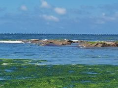 -日照灯塔风景区