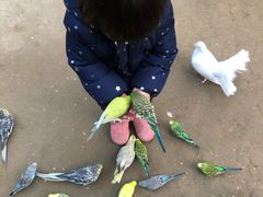 -呀路古热带植物园