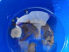-嵊泗基湖沙滩