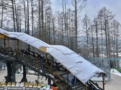 -横道河子东北虎林园