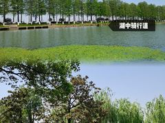 -东湖磨山景区