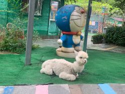 -萌宠亲子动物乐园(槐房万达店)