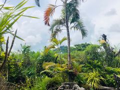 -自然餐厅(Phuket)