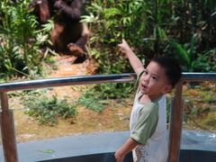 -陕西自然博物馆