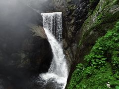 -牛背梁国家森林公园