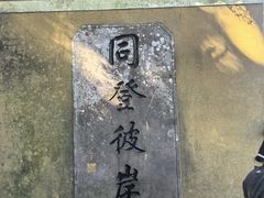 -普陀山风景区-佛顶山