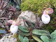 -国家植物园南园