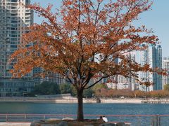 -西北湖绿化广场