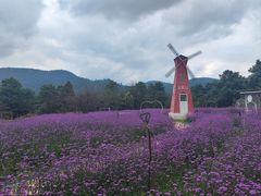-名花谷生态庄园